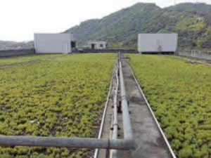 雨水回收利用為何能迅速的發展起來